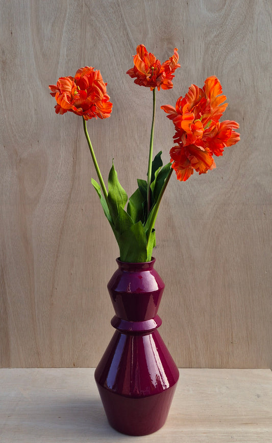 Dubbele Franse tulp oranje