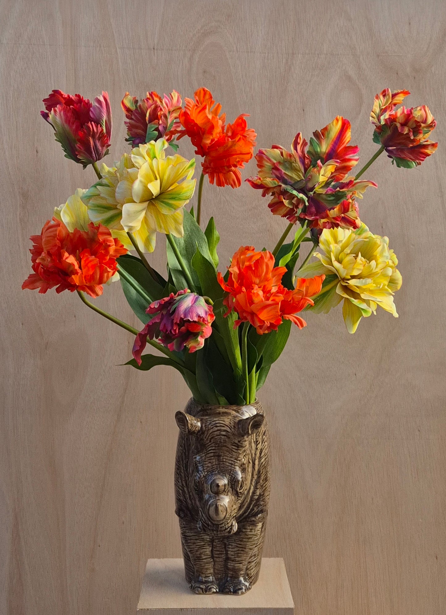 Dubbele Franse tulp Multi